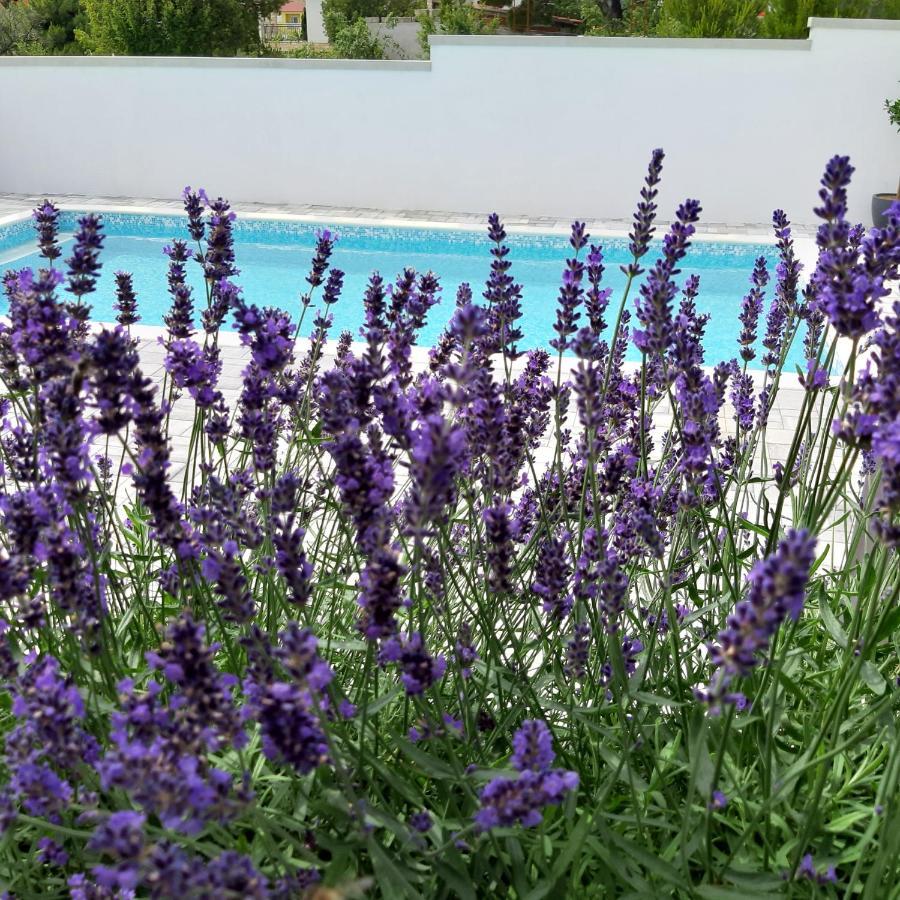 Villa Silver Starigrad Paklenica Dış mekan fotoğraf