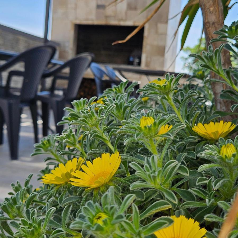Villa Silver Starigrad Paklenica Dış mekan fotoğraf